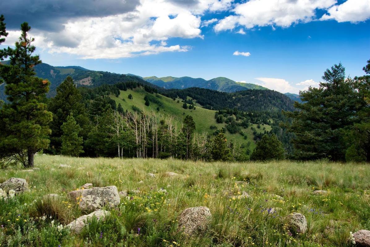 Windchaser, 1 Bedroom, Wood Burning Stove, Midtown, Sleeps 3 Ruidoso Extérieur photo